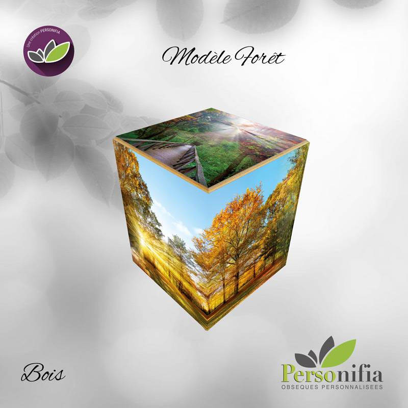 Personnalisation du cercueil en carton avec livraison rapide à Montpellier 34 en Occitanie