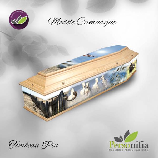 tombeau pin camargue