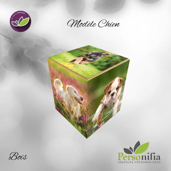 urne bois chien