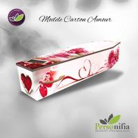 Nos prestations sur le secteur de Montpellier 34 en Occitanie