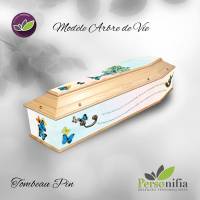 Nos prestations sur le secteur de Montpellier 34 en Occitanie