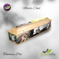 Nos prestations sur le secteur de Montpellier 34 en Occitanie