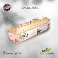 Nos prestations sur le secteur de Montpellier 34 en Occitanie