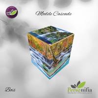 Notre zone d'activité pour ce service Vente d'urne personnalisée pour professionnel à