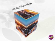 Nos prestations sur le secteur de Nîmes 30 dans le Gard