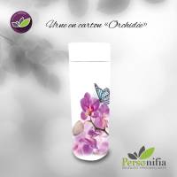 Nos prestations sur le secteur de Montpellier 34 en Occitanie