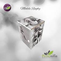 Nos prestations sur le secteur de Toulouse 34 en Haute-Garonne