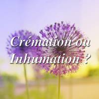 Nos prestations sur le secteur de Nîmes 30 dans le Gard